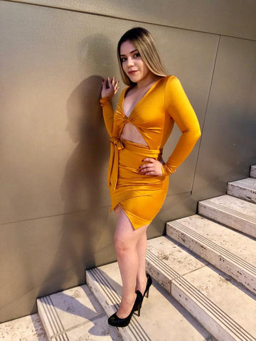 Darina Mustard Dress